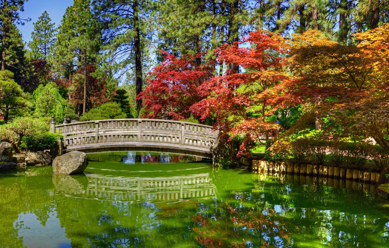 Photo wallpaper water, the sun, trees, bridge, pond, Park, stones, HDR