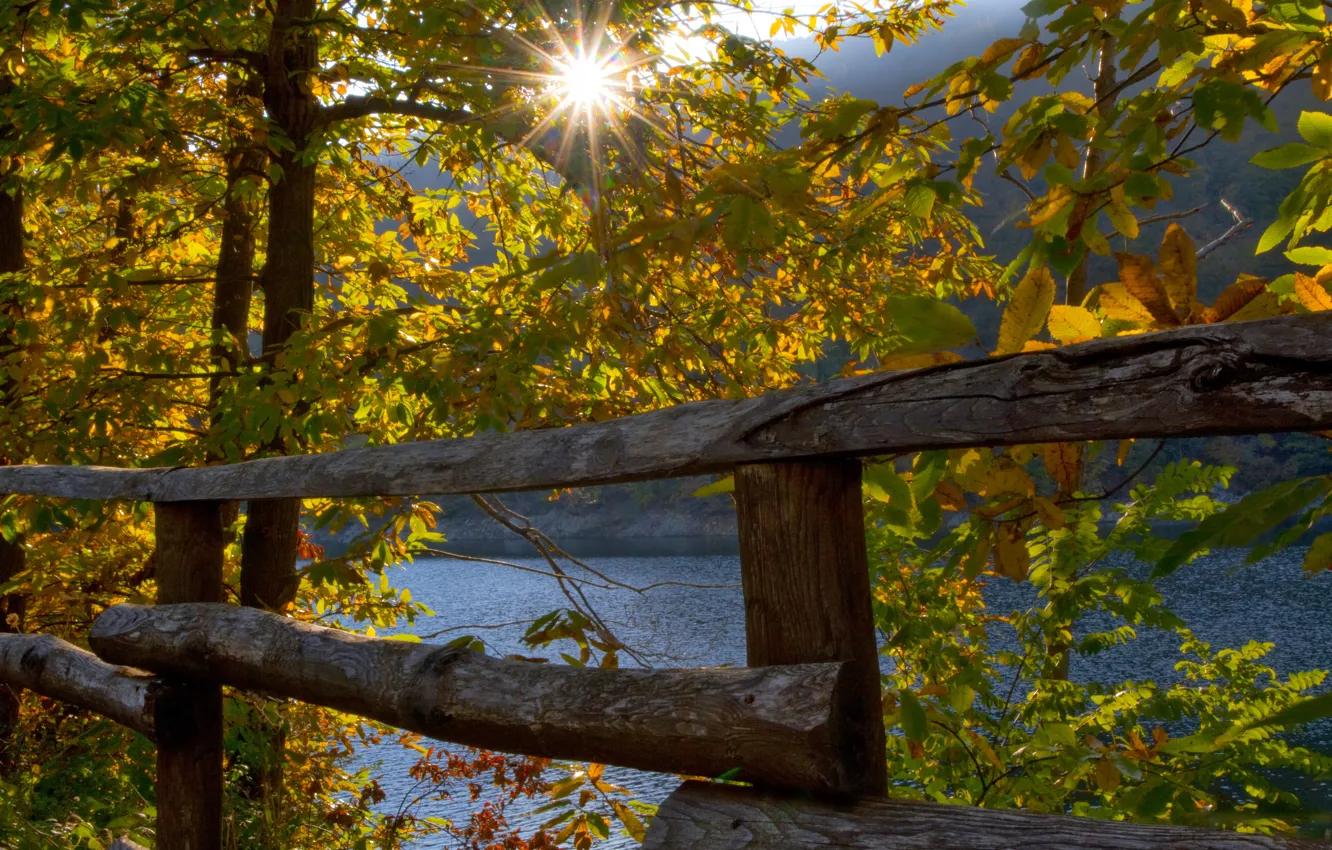 Photo wallpaper autumn, trees, lake, the fence, Italy, Italy, Liguria, Liguria