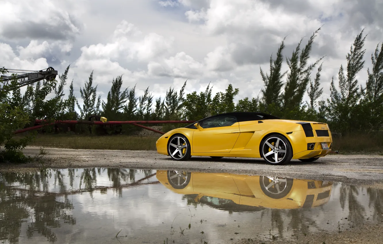 Photo wallpaper grass, trees, yellow, puddle, gallardo, convertible, lamborghini, drives