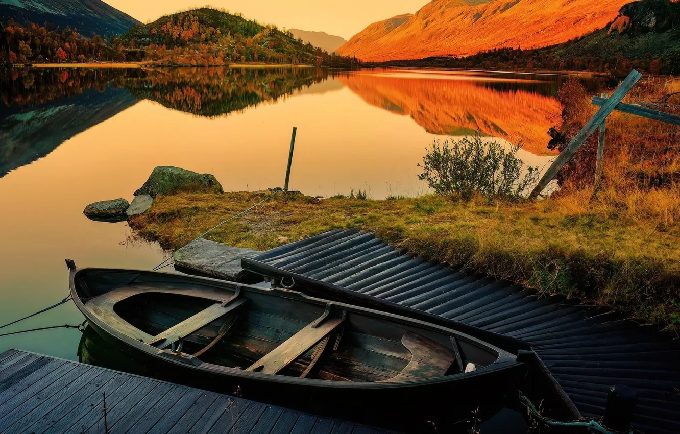 Photo wallpaper forest, landscape, nature, boat, marina