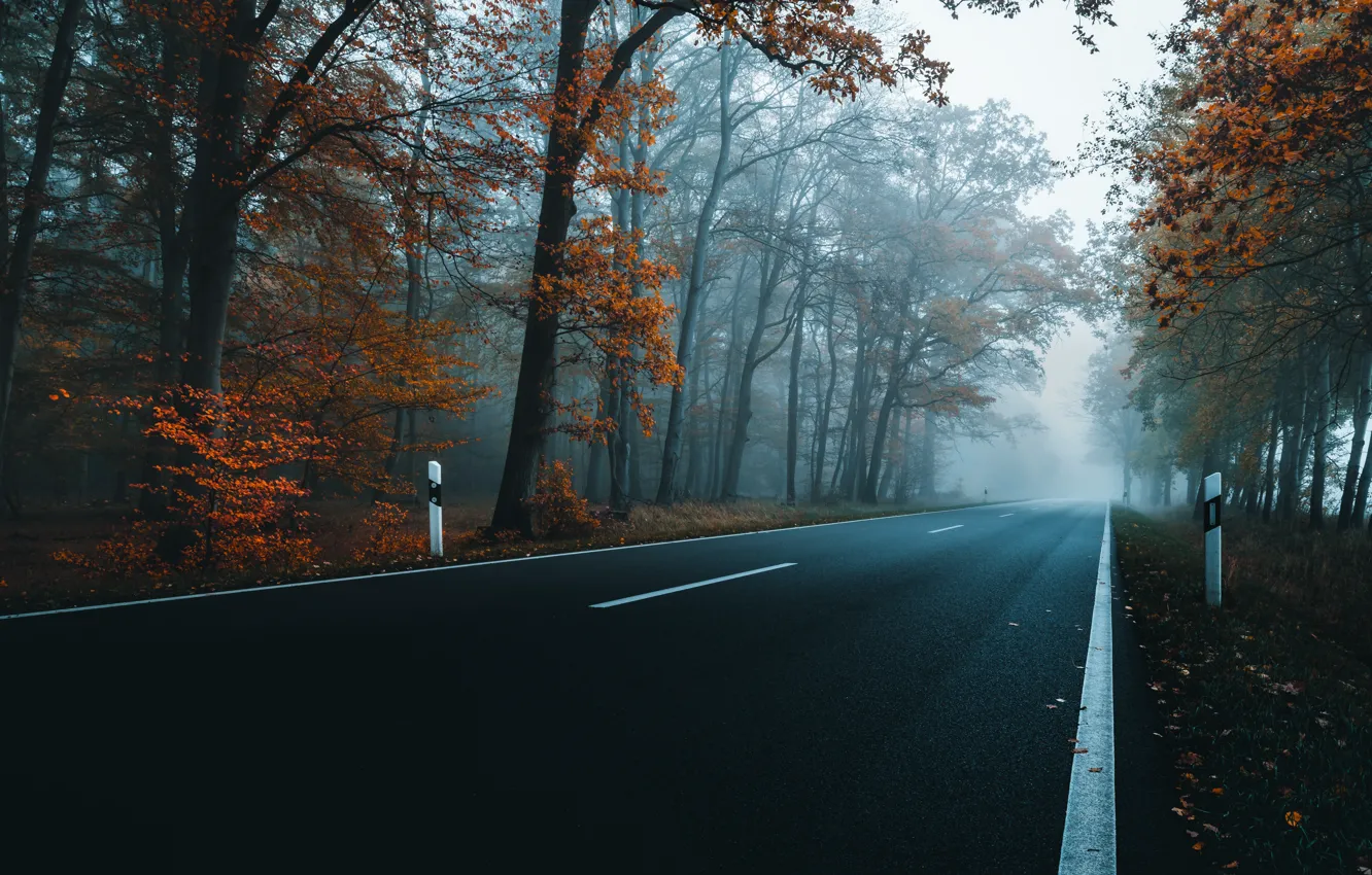 Photo wallpaper road, autumn, trees, highway