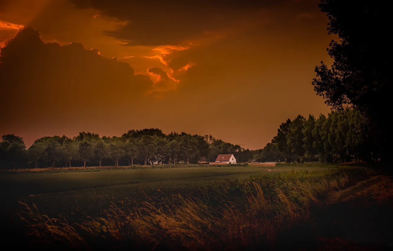 Photo wallpaper field, night, house