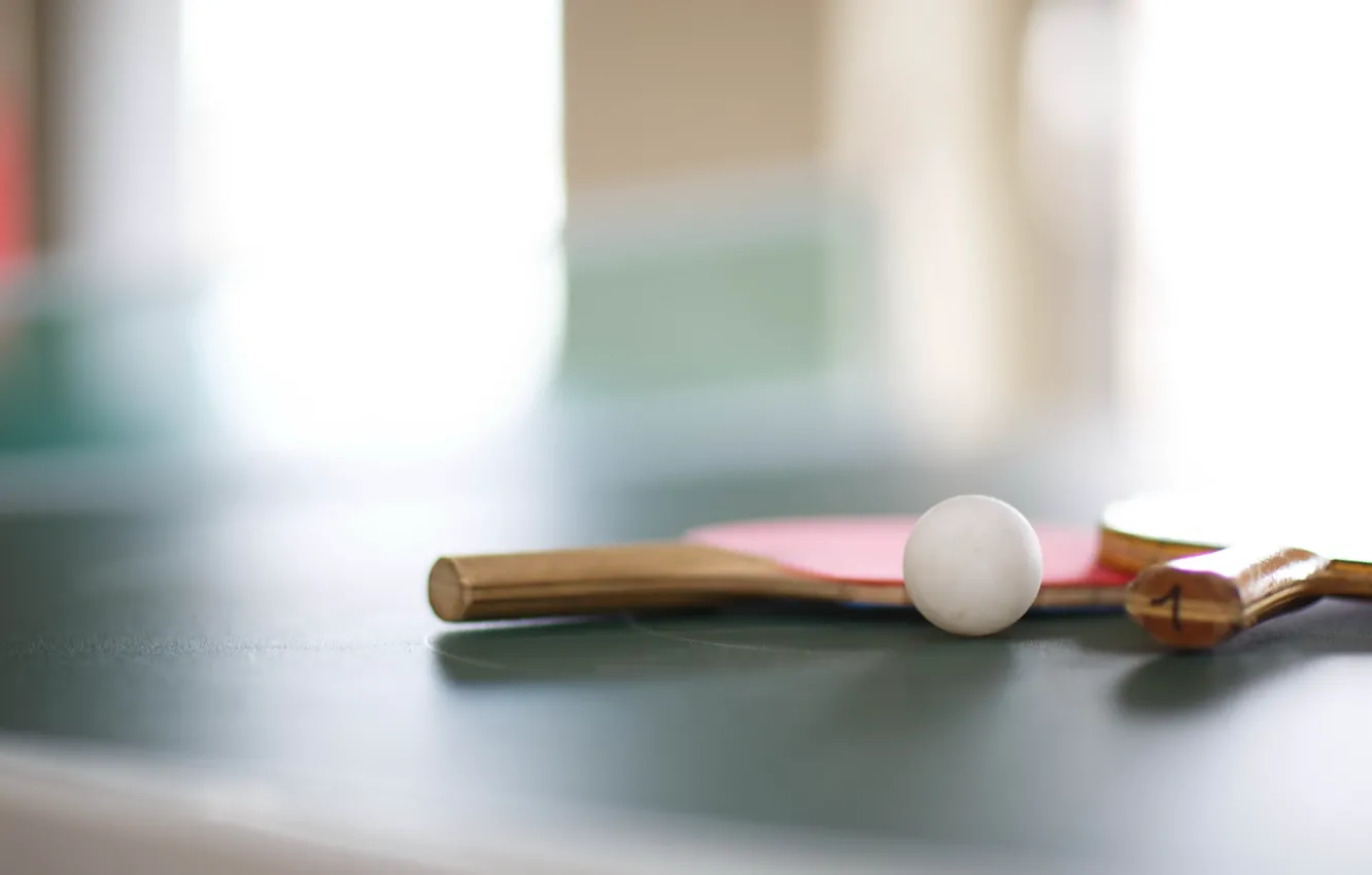 Photo wallpaper sport, racket, the ball, tennis