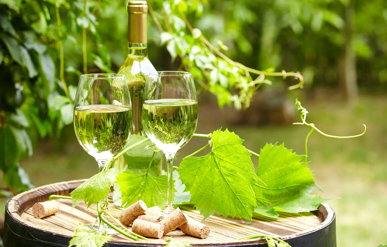 Photo wallpaper greens, leaves, wine, bottle, garden, glasses, tube, barrel