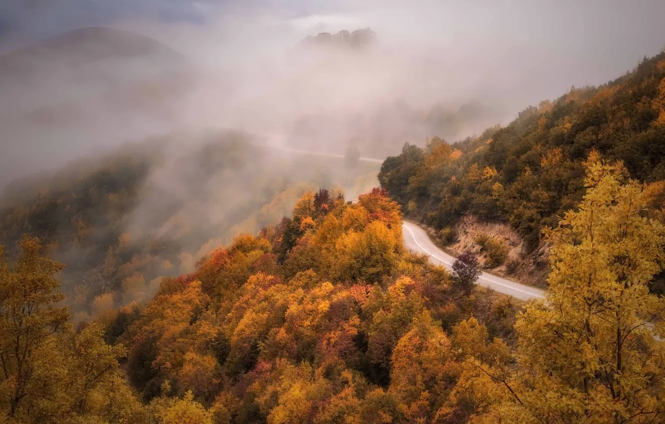 Photo wallpaper road, autumn, forest, trees, mountains, fog, dal, slope