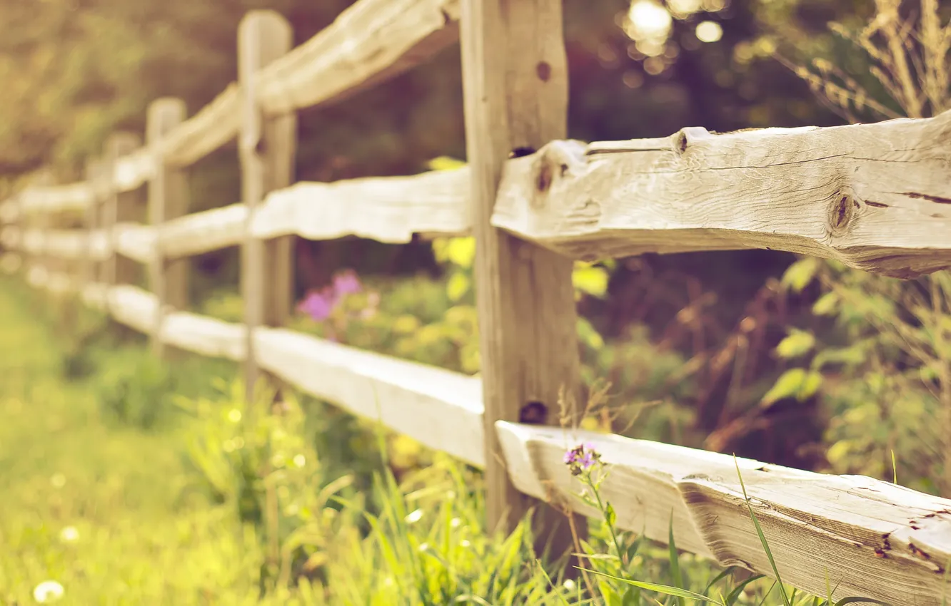 Photo wallpaper nature, the fence, focus, fence, grass, bokeh