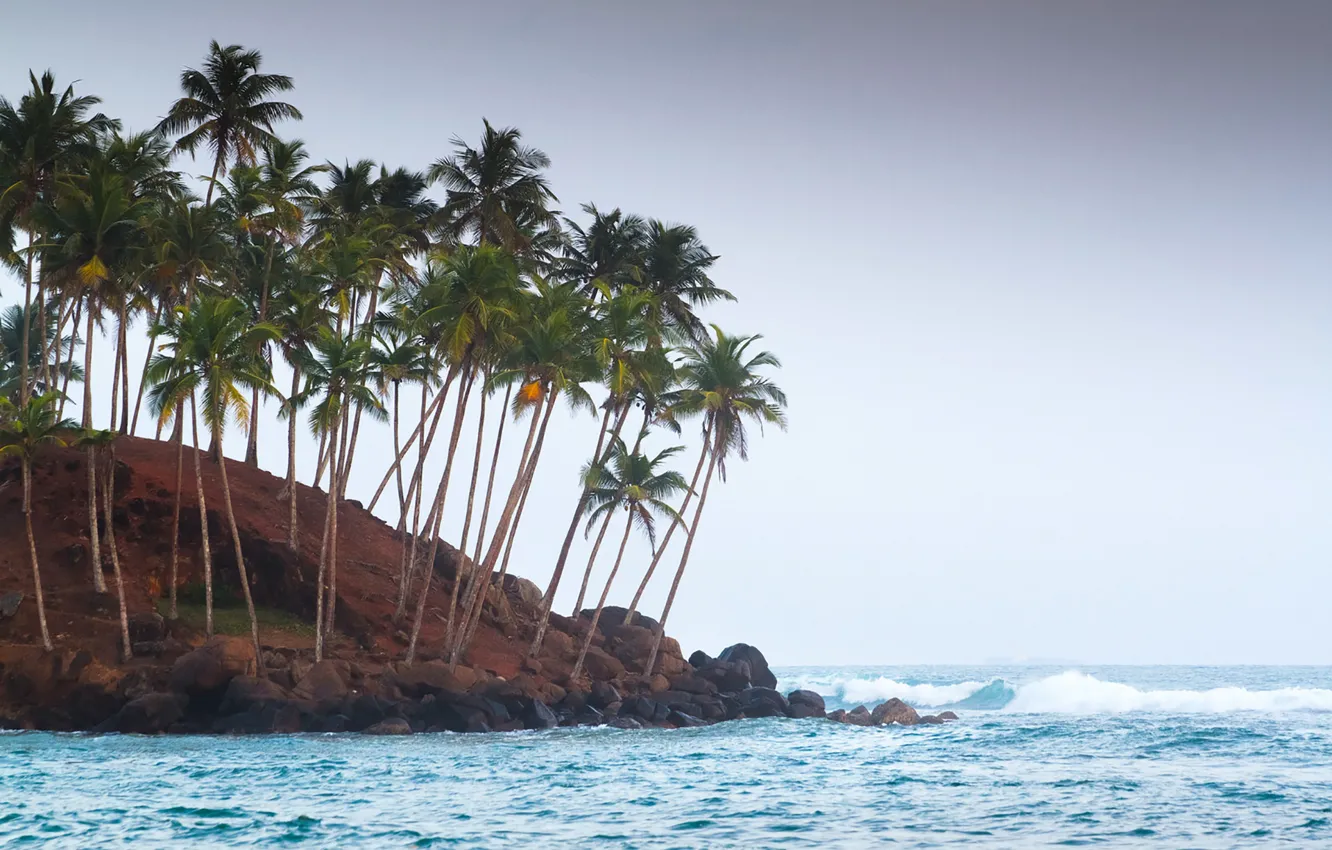 Photo wallpaper beach, seascape, rocks, wave, horizon, coconuts, cove
