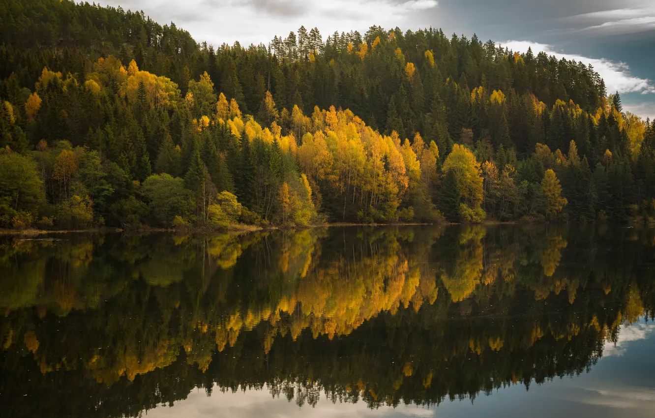 Photo wallpaper autumn, forest, clouds, trees, lake, reflection, shore, pond