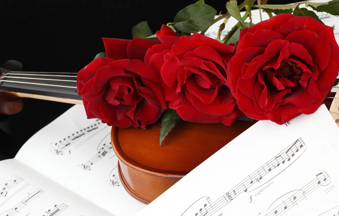 Photo wallpaper flowers, red, notes, violin, roses, three, black background, bokeh