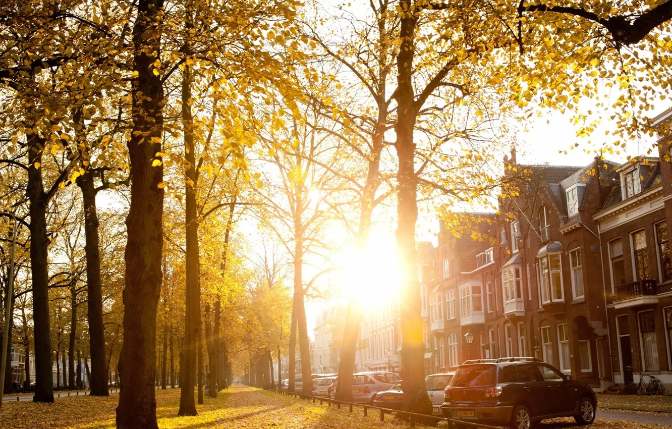 Photo wallpaper autumn, the sun, the city, street, Sunny Autumn Afternoon In Utrecht
