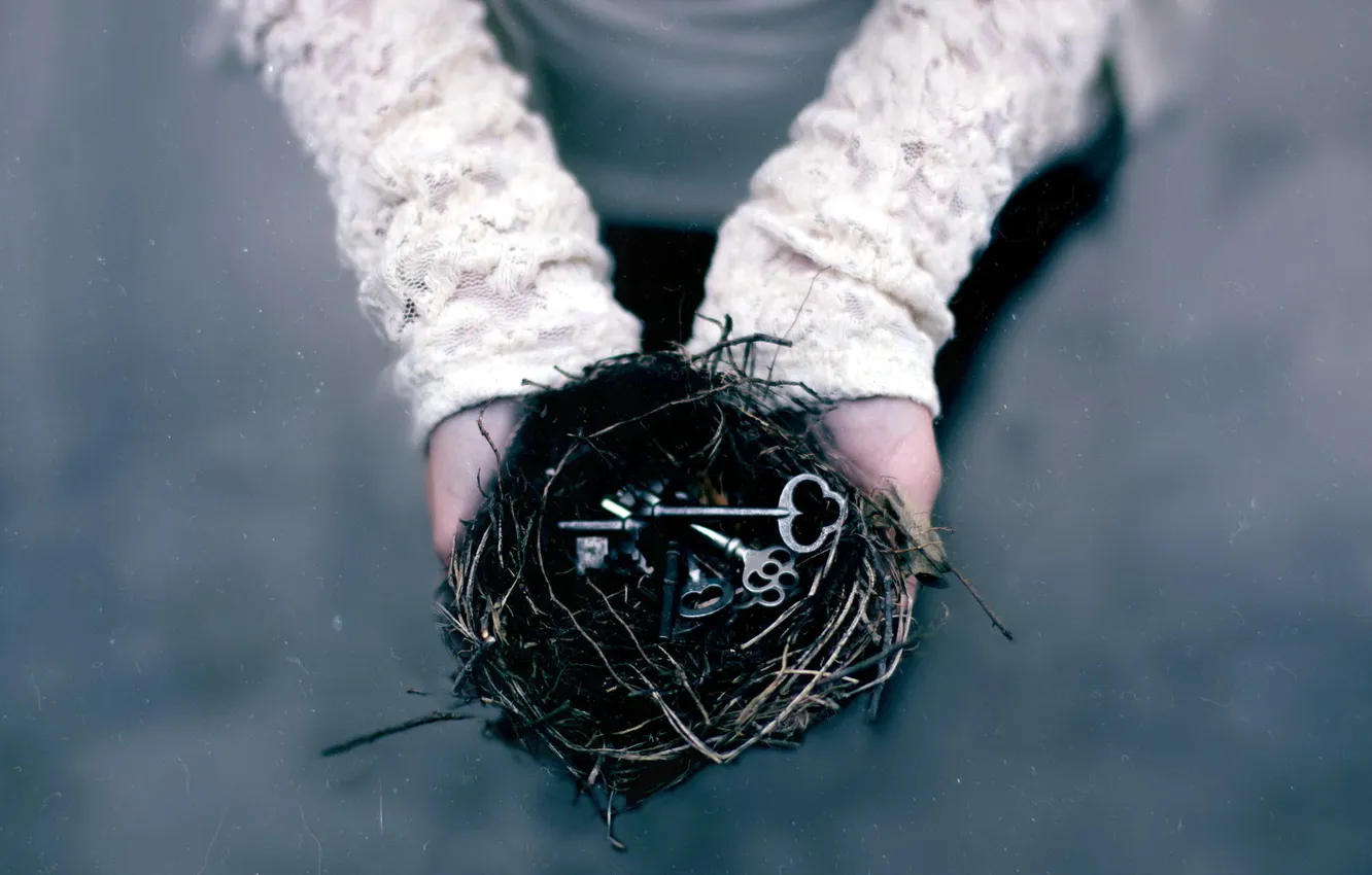 Photo wallpaper hands, key, socket