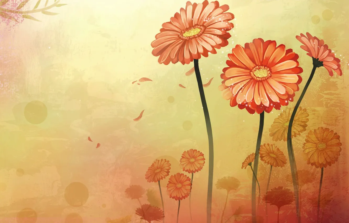 Photo wallpaper flowers, gerbera, swing