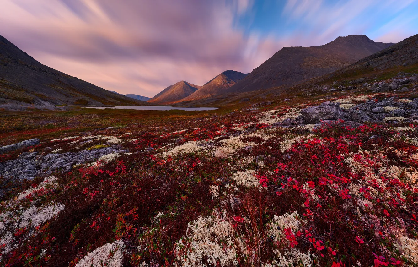 Photo wallpaper autumn, mountains, lake, vegetation, Khibiny, The Kola Peninsula, Konstantin Voronov