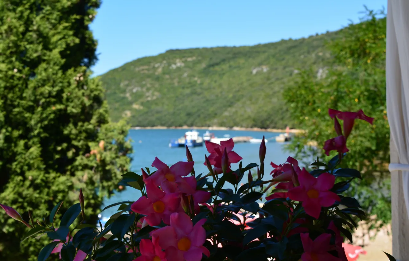 Photo wallpaper sea, trees, flowers, nature, trees, sea, nature, flowers