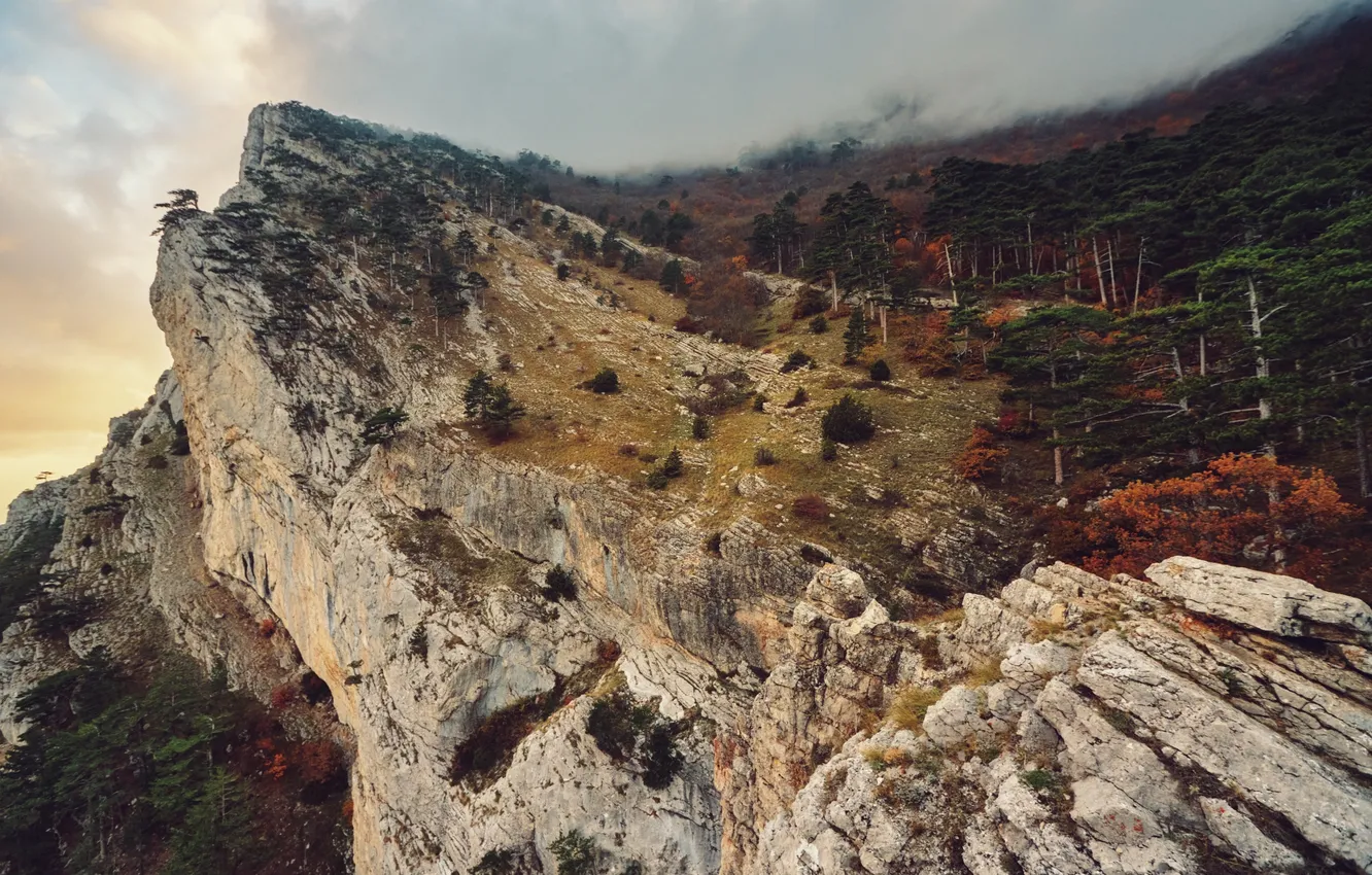 Photo wallpaper trees, mountains, the beauty of nature, stairway to heaven, spurs of rocks, Stanislav