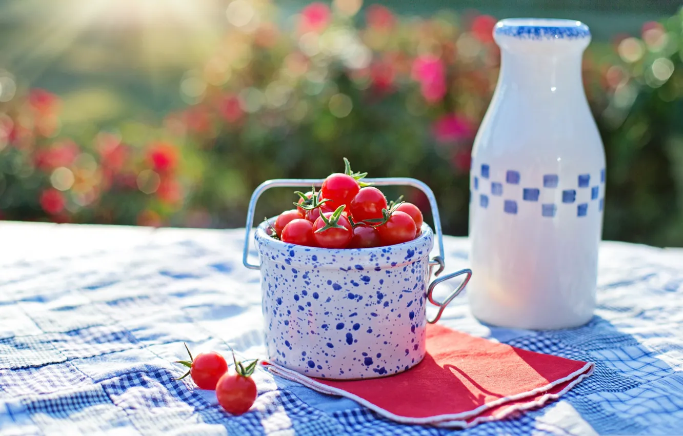 Photo wallpaper bottle, juice, tomatoes, tomatoes, bucket, cherry