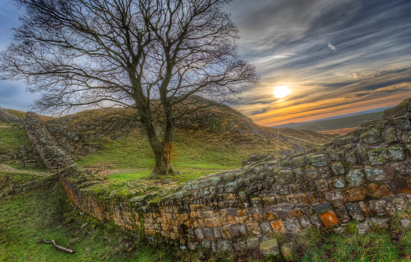 Photo wallpaper the sky, grass, the sun, sunset, stones, wall, tree, hills
