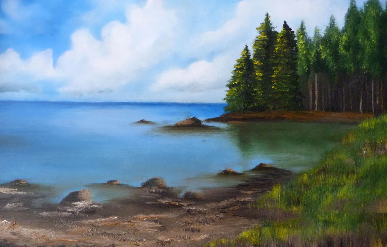 Photo wallpaper forest, grass, trees, nature, lake, shore, spruce, art