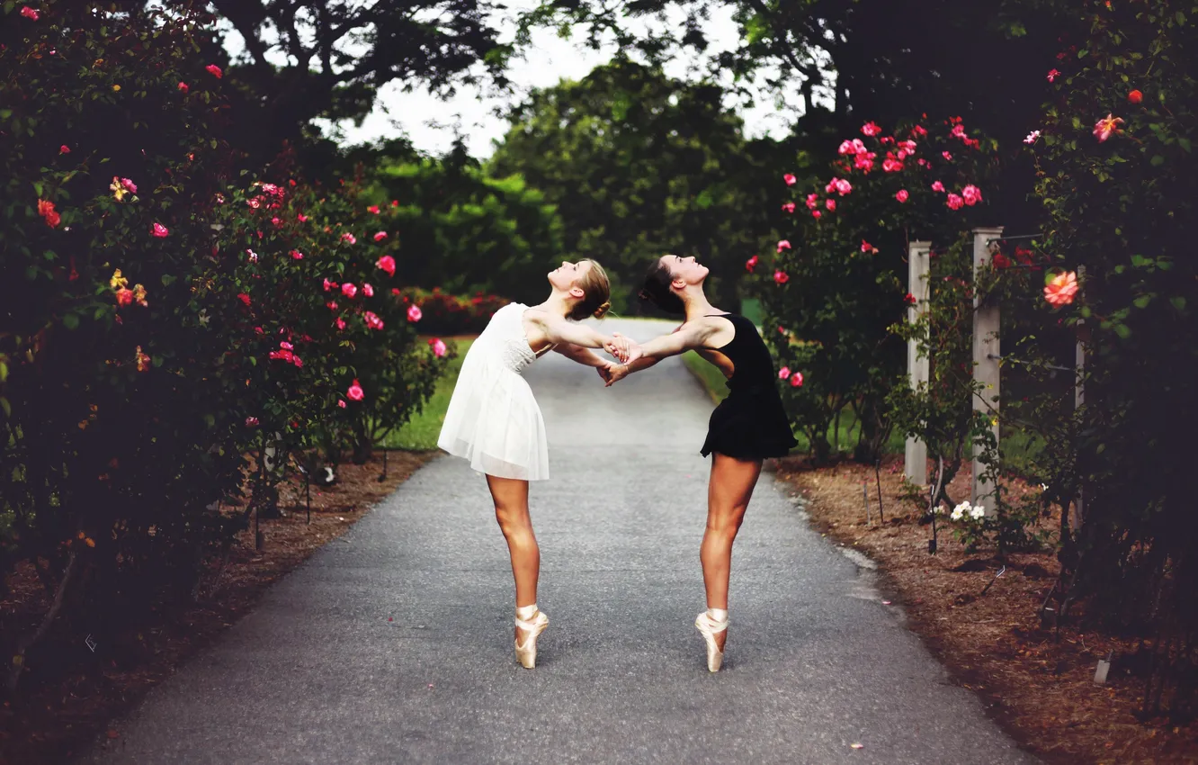 Photo wallpaper white, girl, black, ballerina
