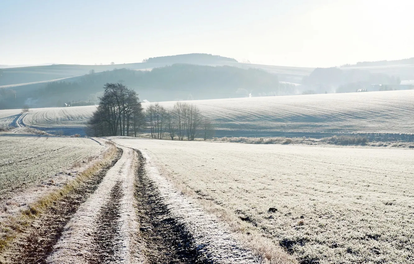 Photo wallpaper winter, road, field, snow, morning