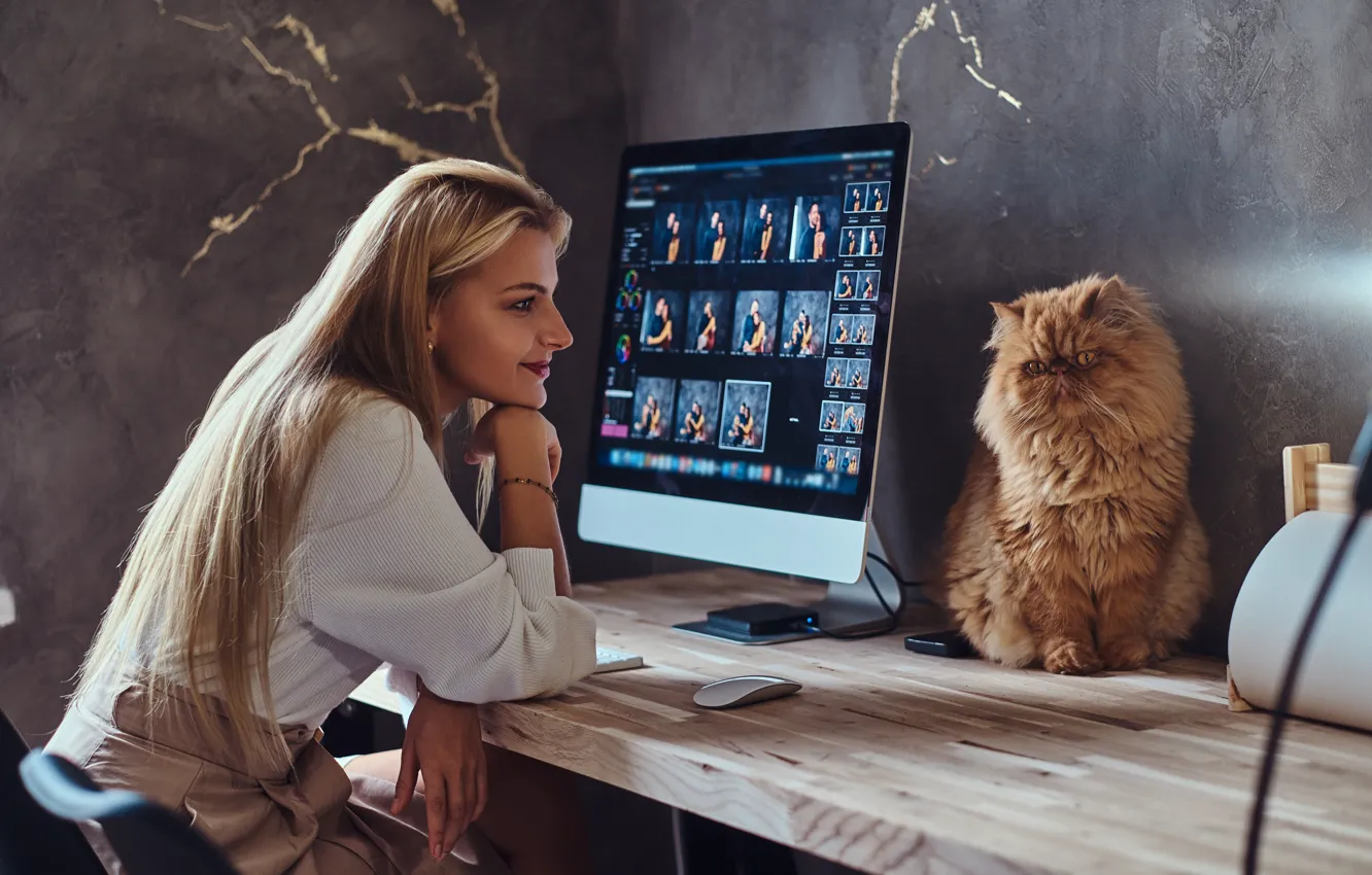 Photo wallpaper cat, girl, monitor, mistress