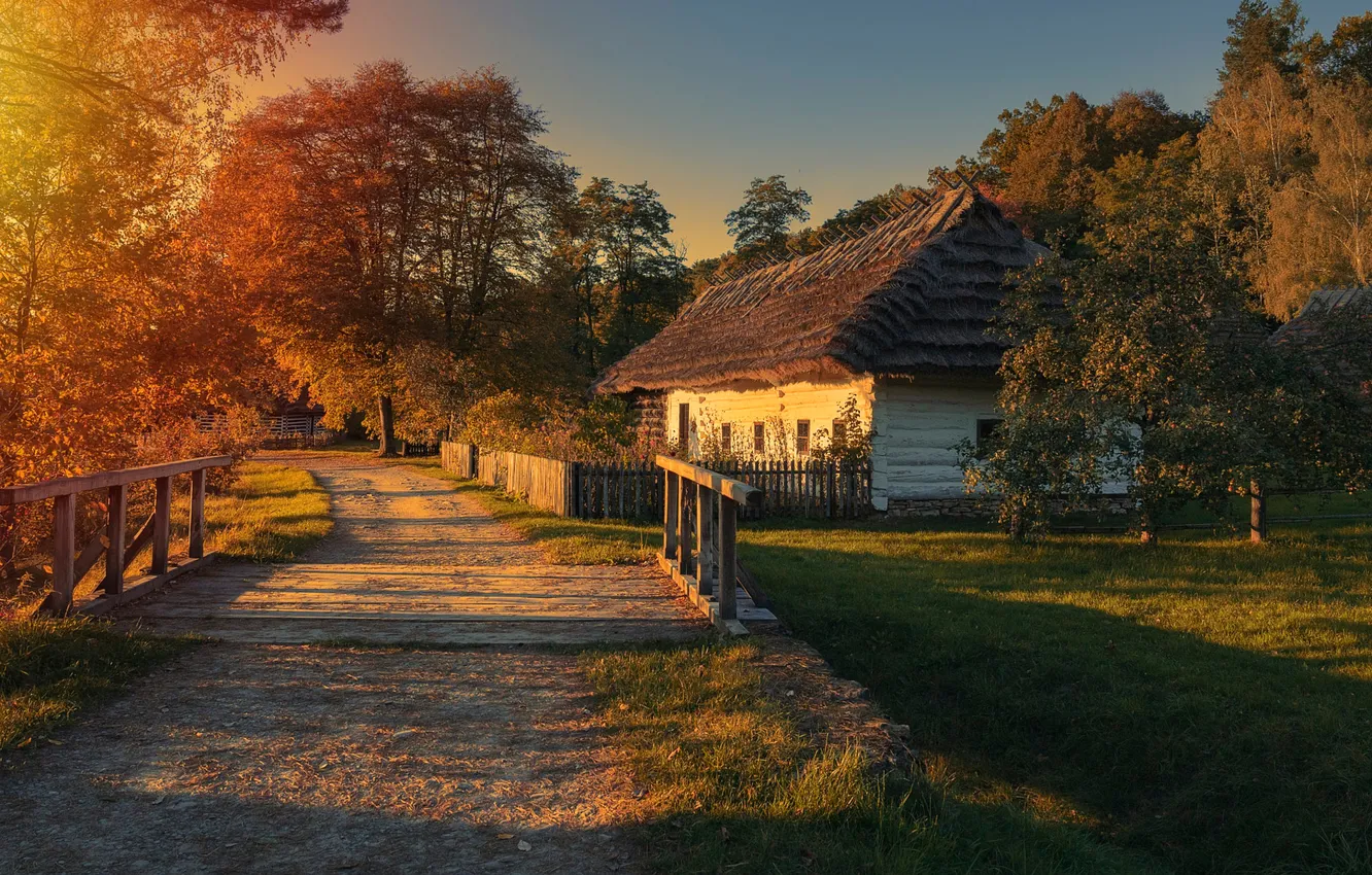 Photo wallpaper road, light, trees, the fence, home, village, hut