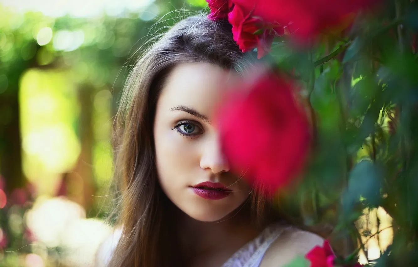 Photo wallpaper girl, Model, photo, blue eyes, flowers, face, brunette, petals