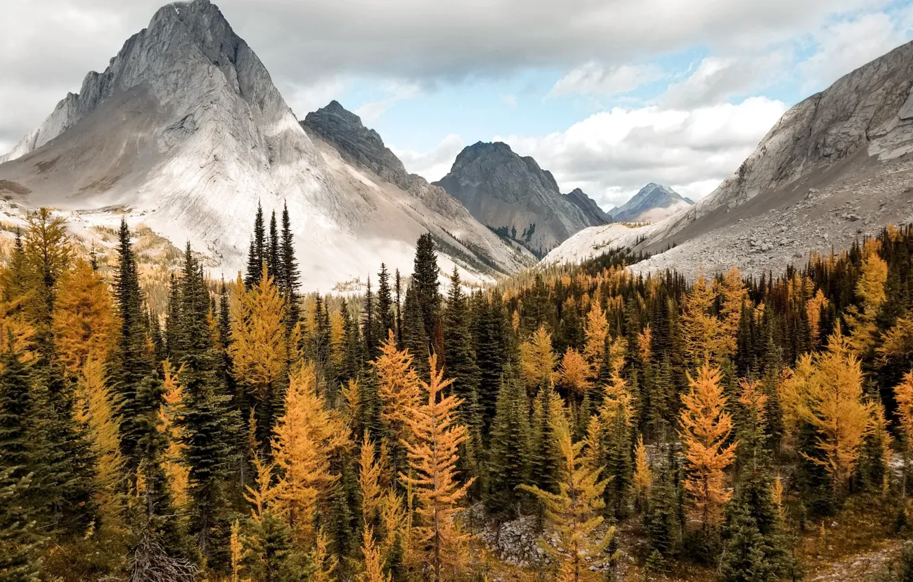 Photo wallpaper autumn, forest, the sky, clouds, mountains, nature, rocks