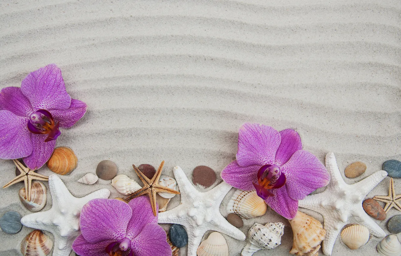 Photo wallpaper sand, stars, flowers, background, shell, beach, Orchid, flowers
