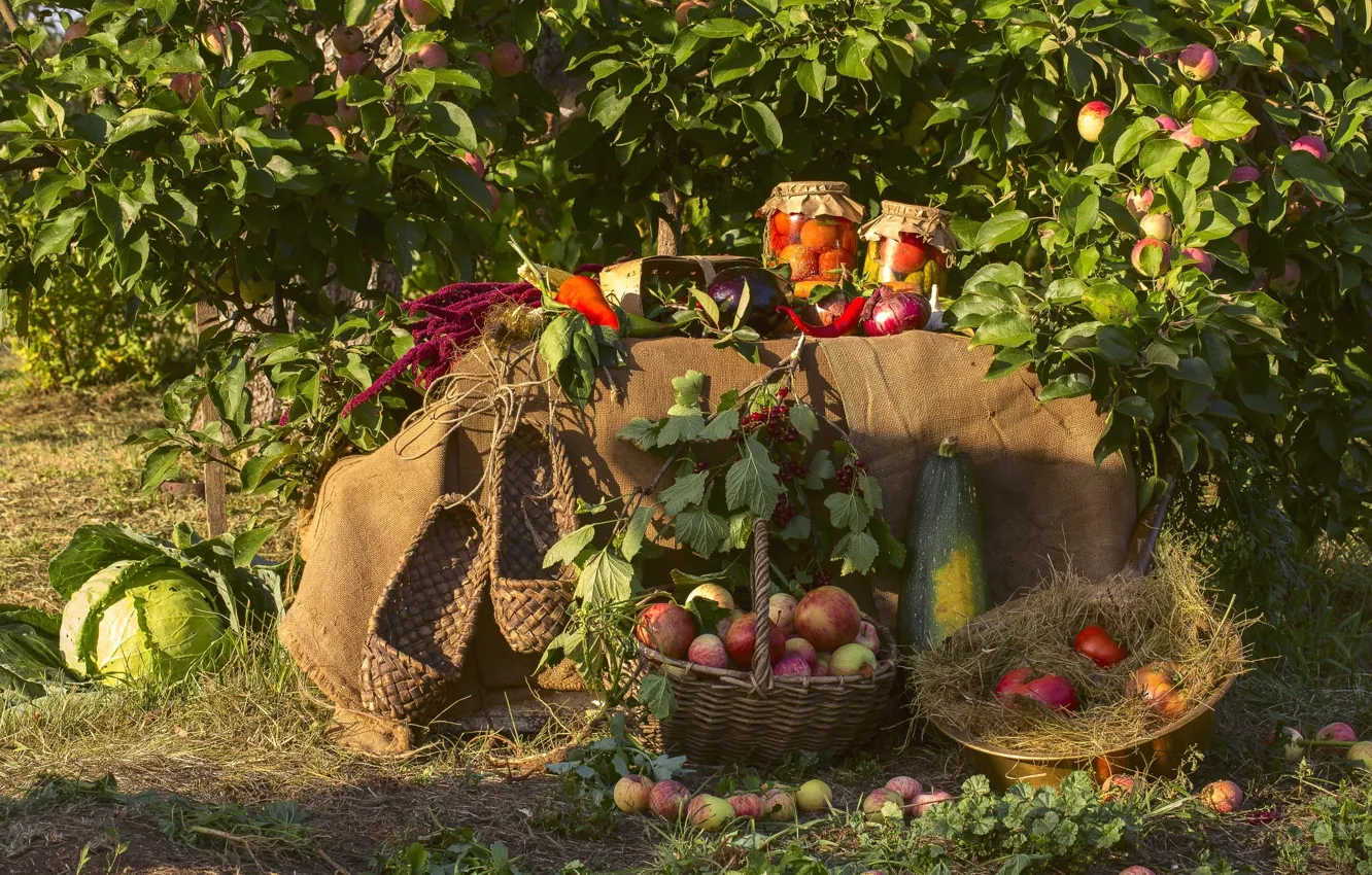 Photo wallpaper garden, harvest, Apple, vegetables