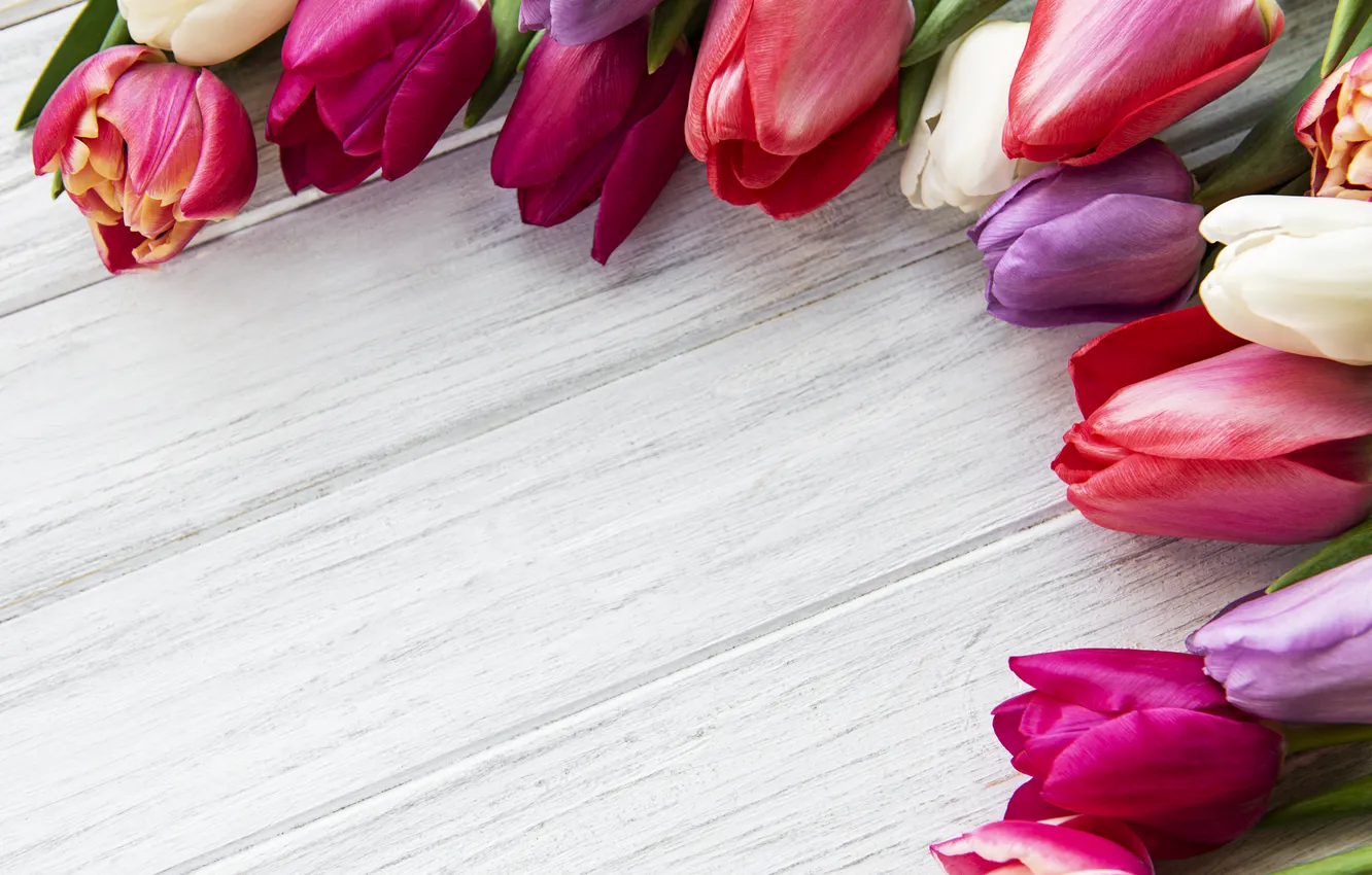 Photo wallpaper flowers, colorful, tulips, wood, flowers, tulips, spring, purple