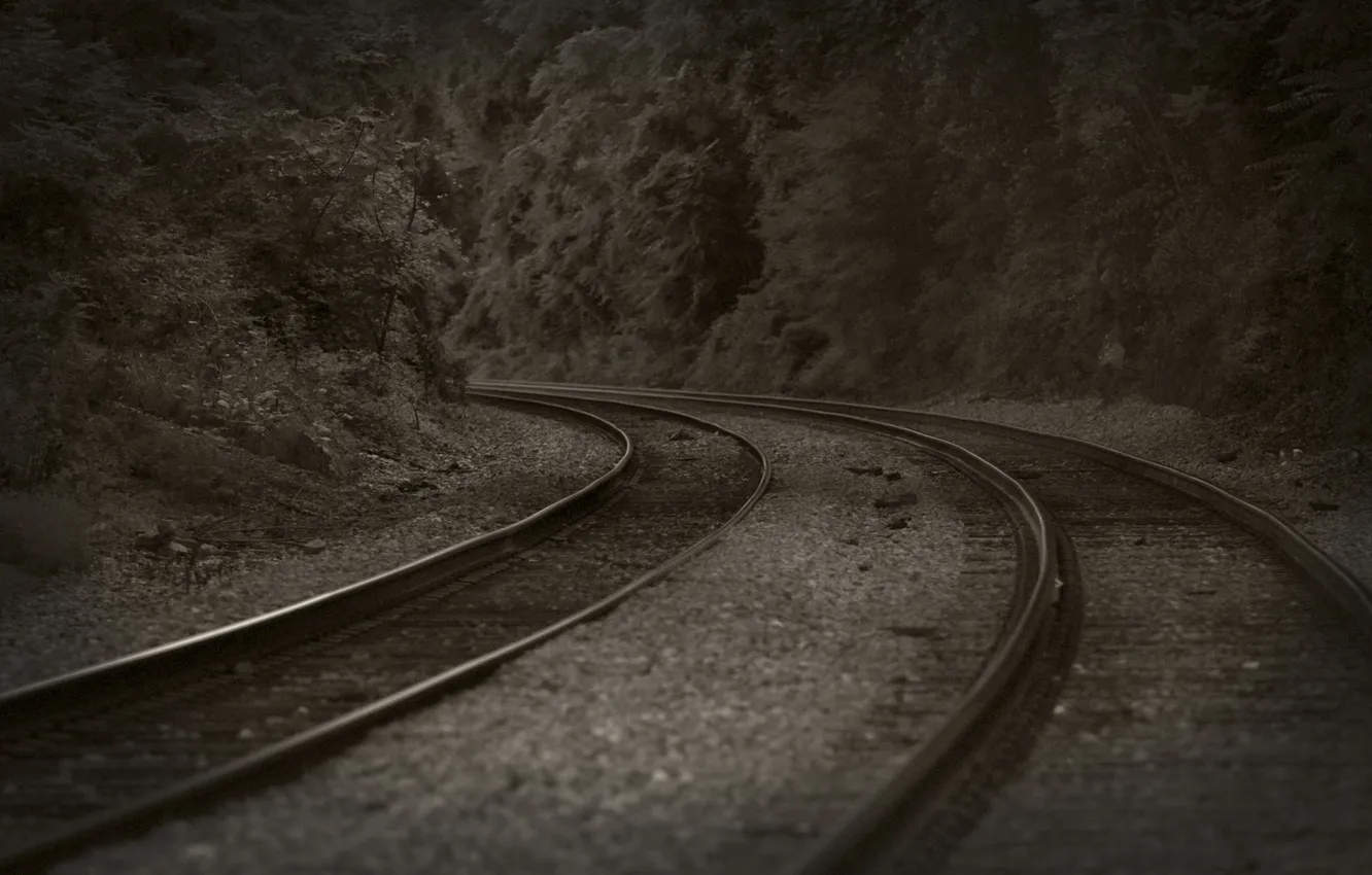 Photo wallpaper trees, landscape, the way, stones, rails, train, railroad, track