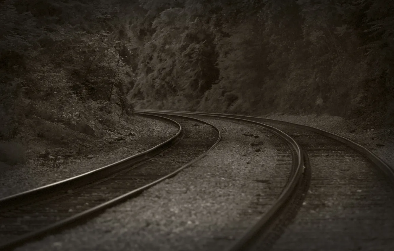 Photo wallpaper trees, the way, the way, stones, landscapes, stone, rails, railroad