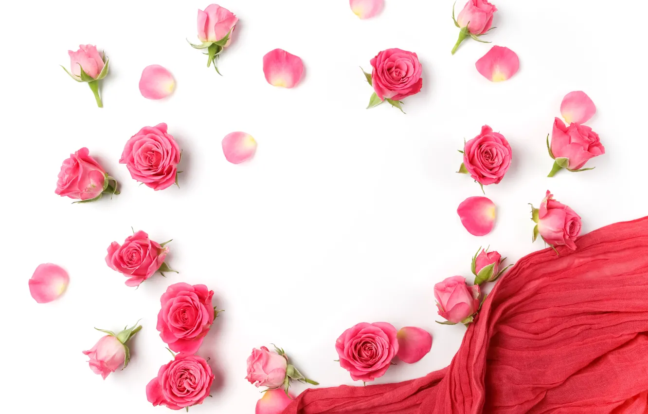 Photo wallpaper roses, buds, pink, flowers, romantic, roses