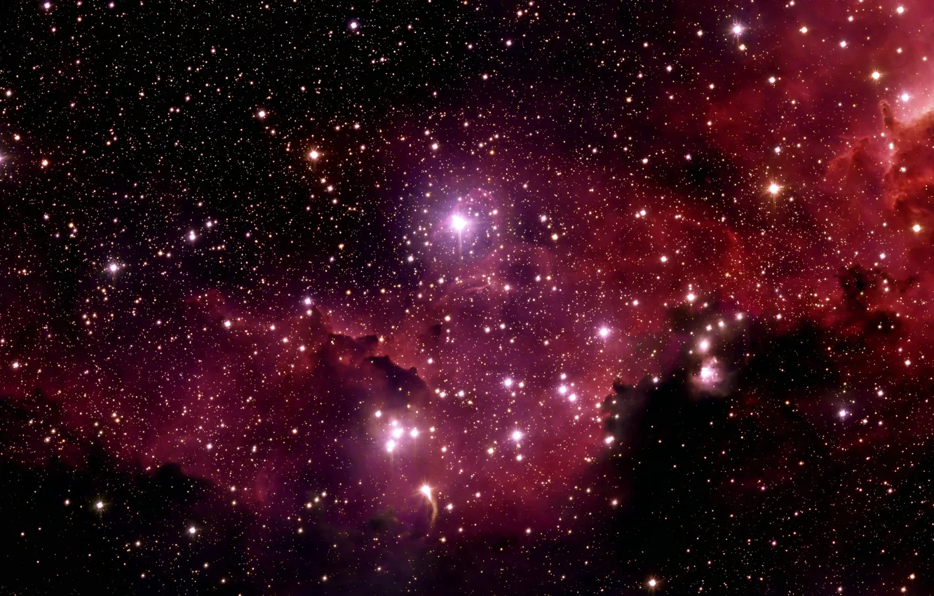 Photo wallpaper Stars, Nebula, Chili, La Silla Observatory, Wide Field Imager, IC 2177, The Seagull Nebula, Constellation …