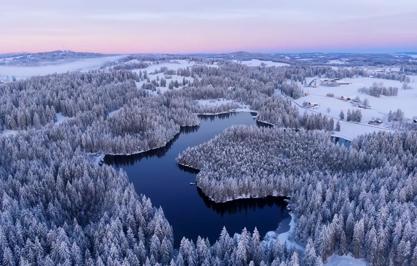 Photo wallpaper forest, nature, lake