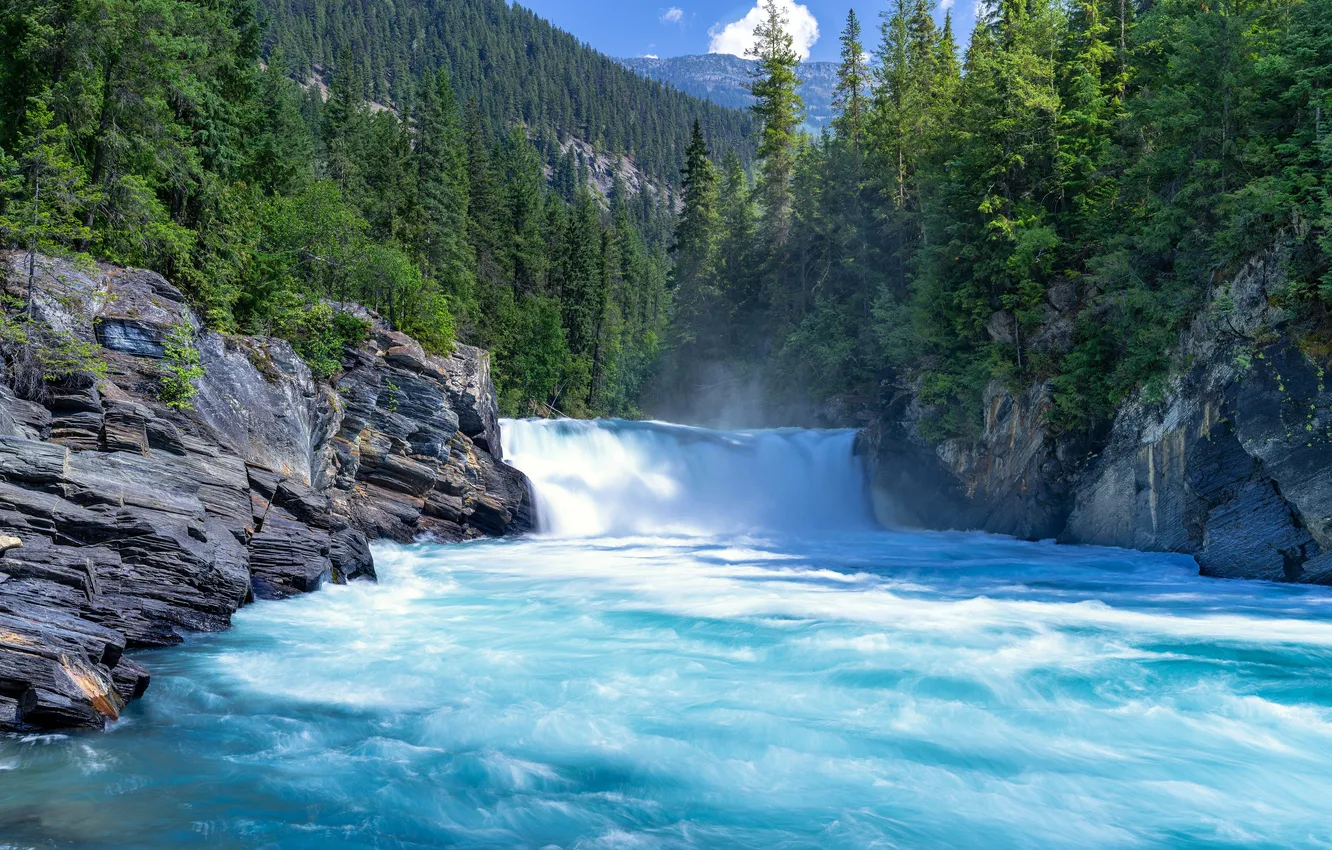 Photo wallpaper Mountains, Waterfall, River, Forest, Canada, Pine, Canada, British Columbia