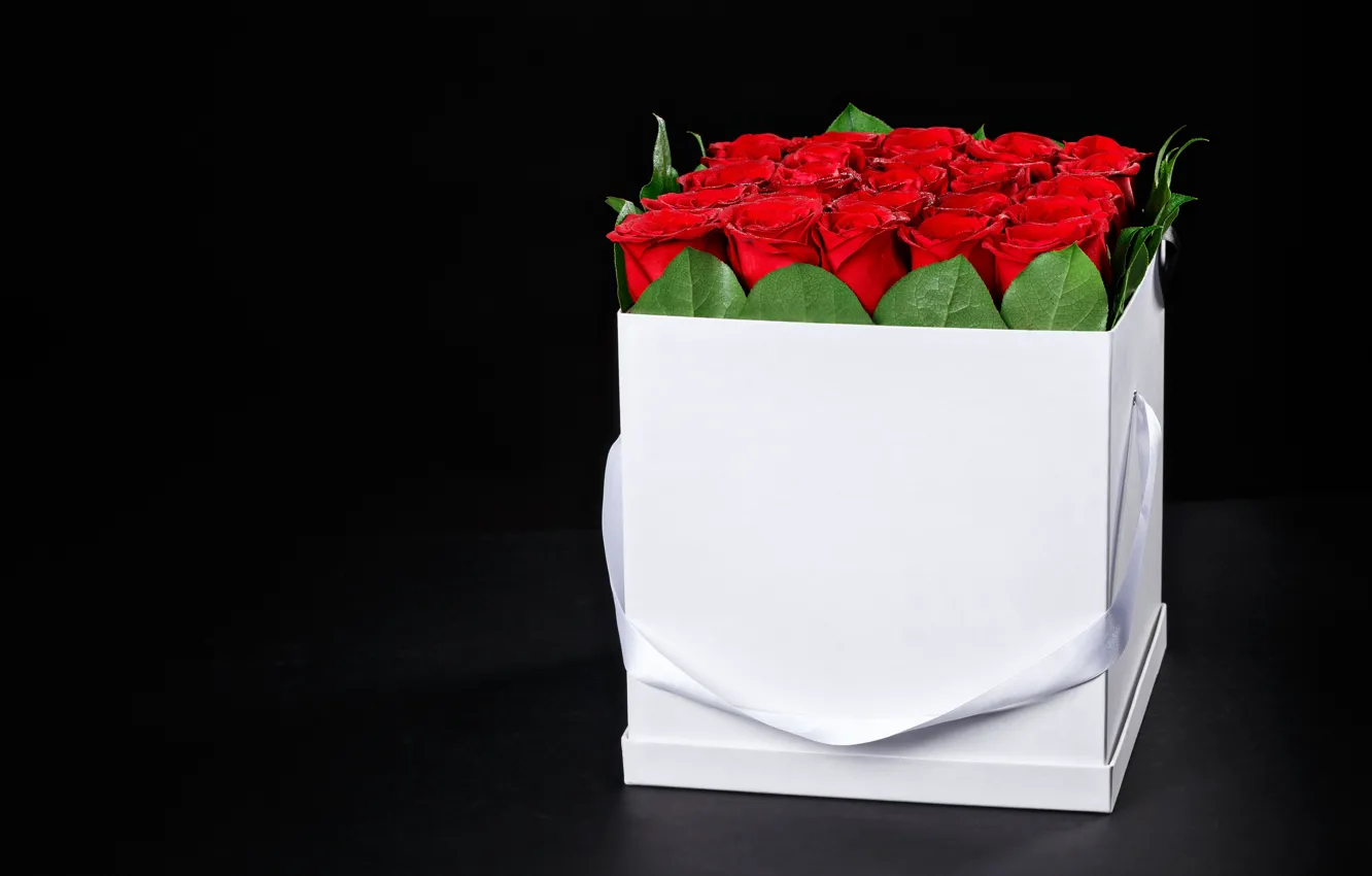 Photo wallpaper red, love, rose, box, romantic, Maxim Denisenko