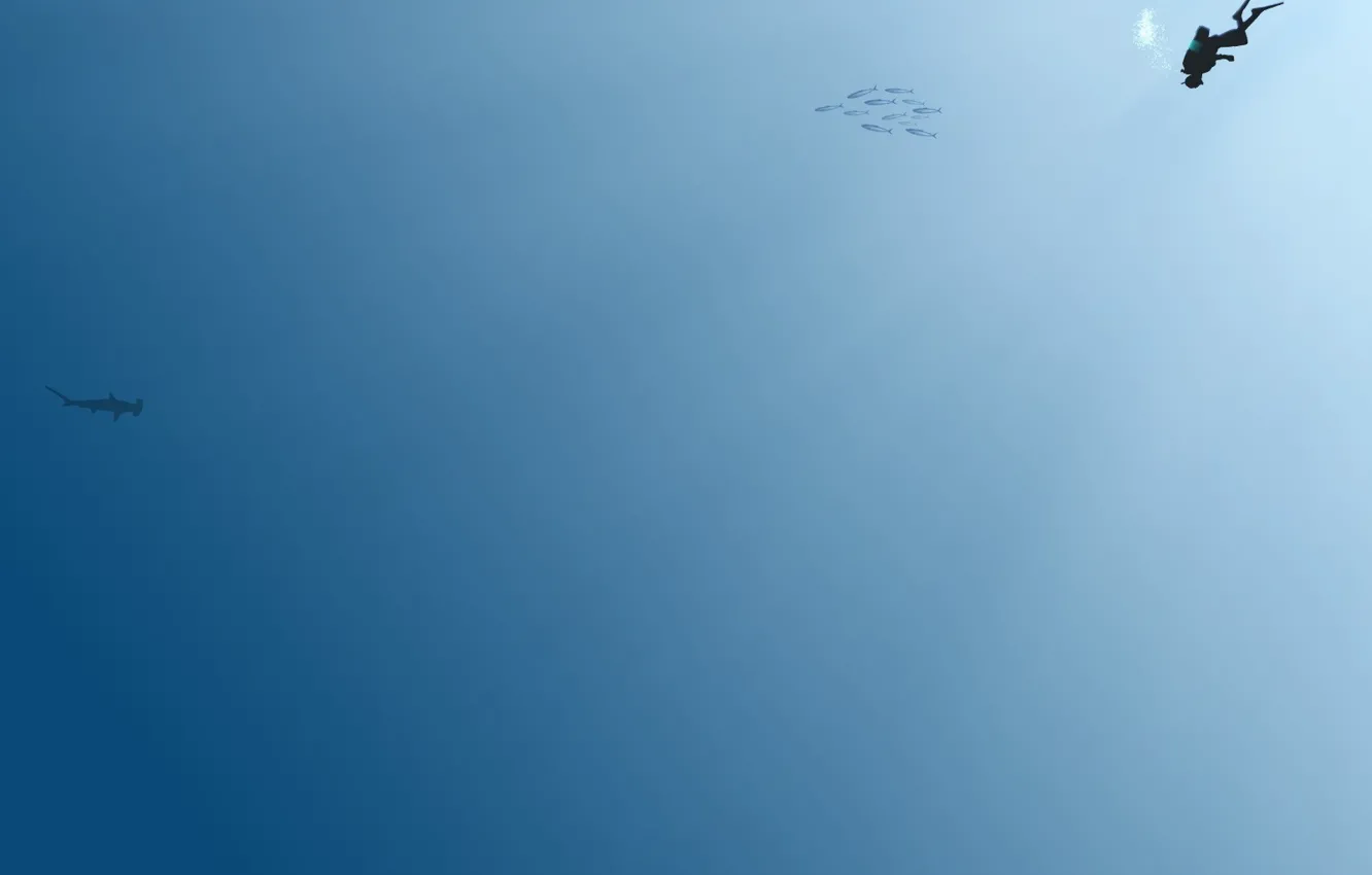 Photo wallpaper blue, minimalism, the diver