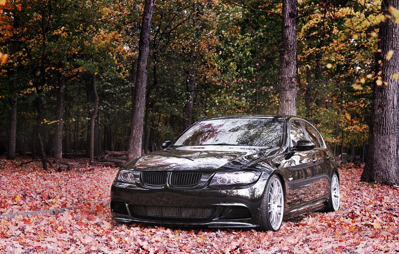 Photo wallpaper autumn, tuning, BMW, 335i