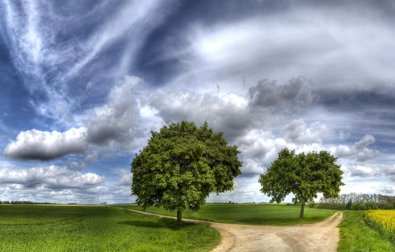 Photo wallpaper road, the sky, grass, clouds, trees