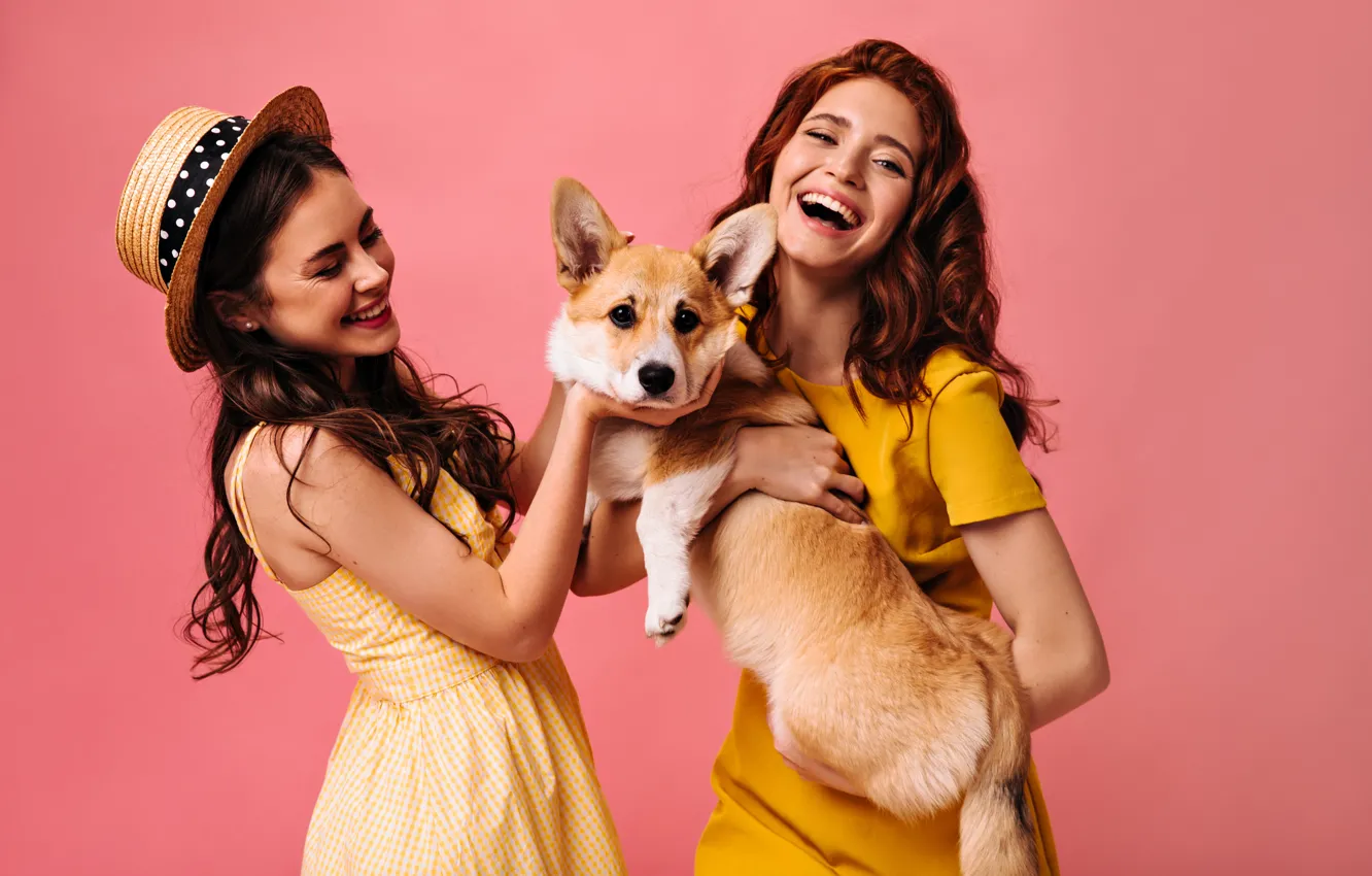 Photo wallpaper girl, dog, friend