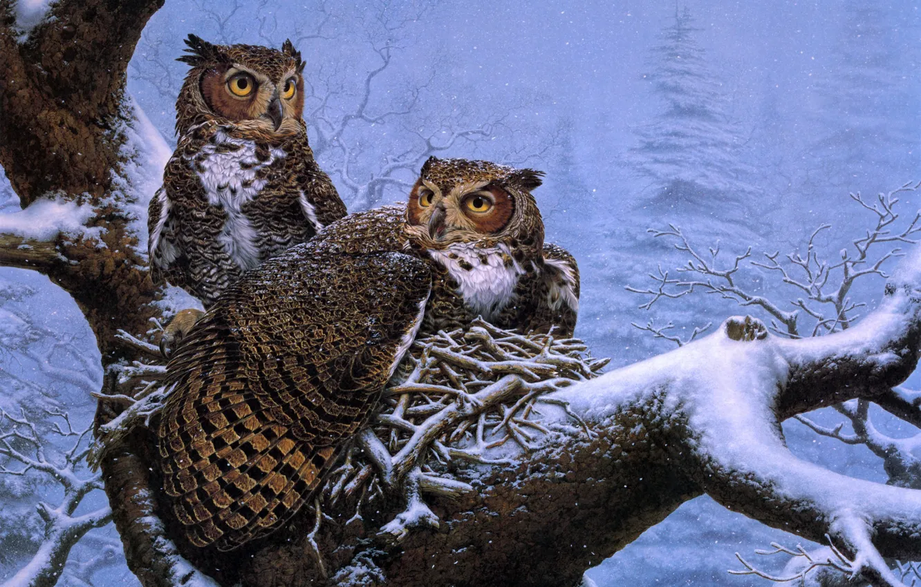 Photo wallpaper winter, snow, tree, owl, spruce, socket, painting, owls