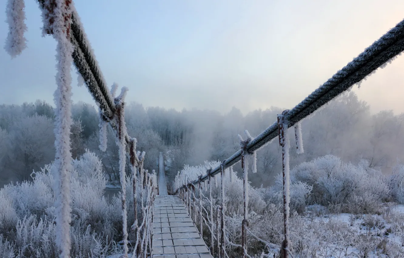 Photo wallpaper winter, frost, snow, bridge