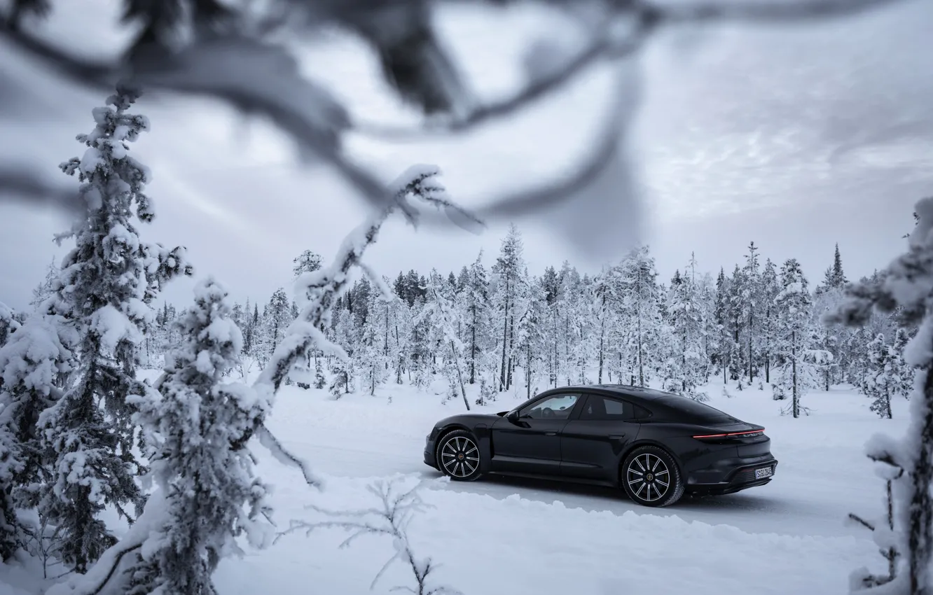 Photo wallpaper snow, black, branch, Porsche, ate, pine, 2020, Taycan