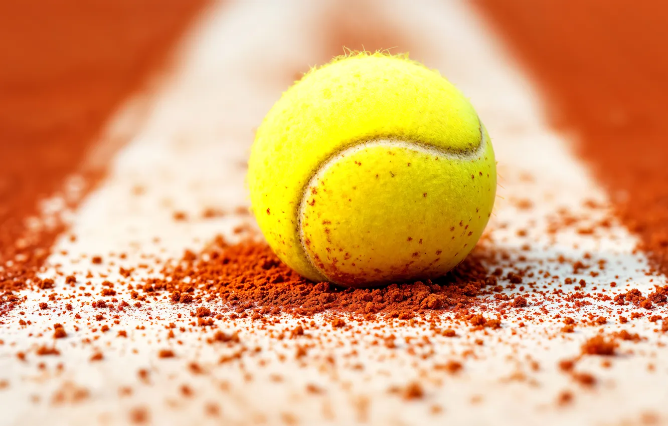 Photo wallpaper Sports, Tennis, Close-up