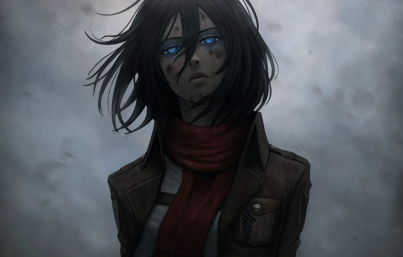 Photo wallpaper emblem, blue eyes, grey background, art, military uniform, Shingeki no Kyojin, Mikasa Ackerman, abrasion