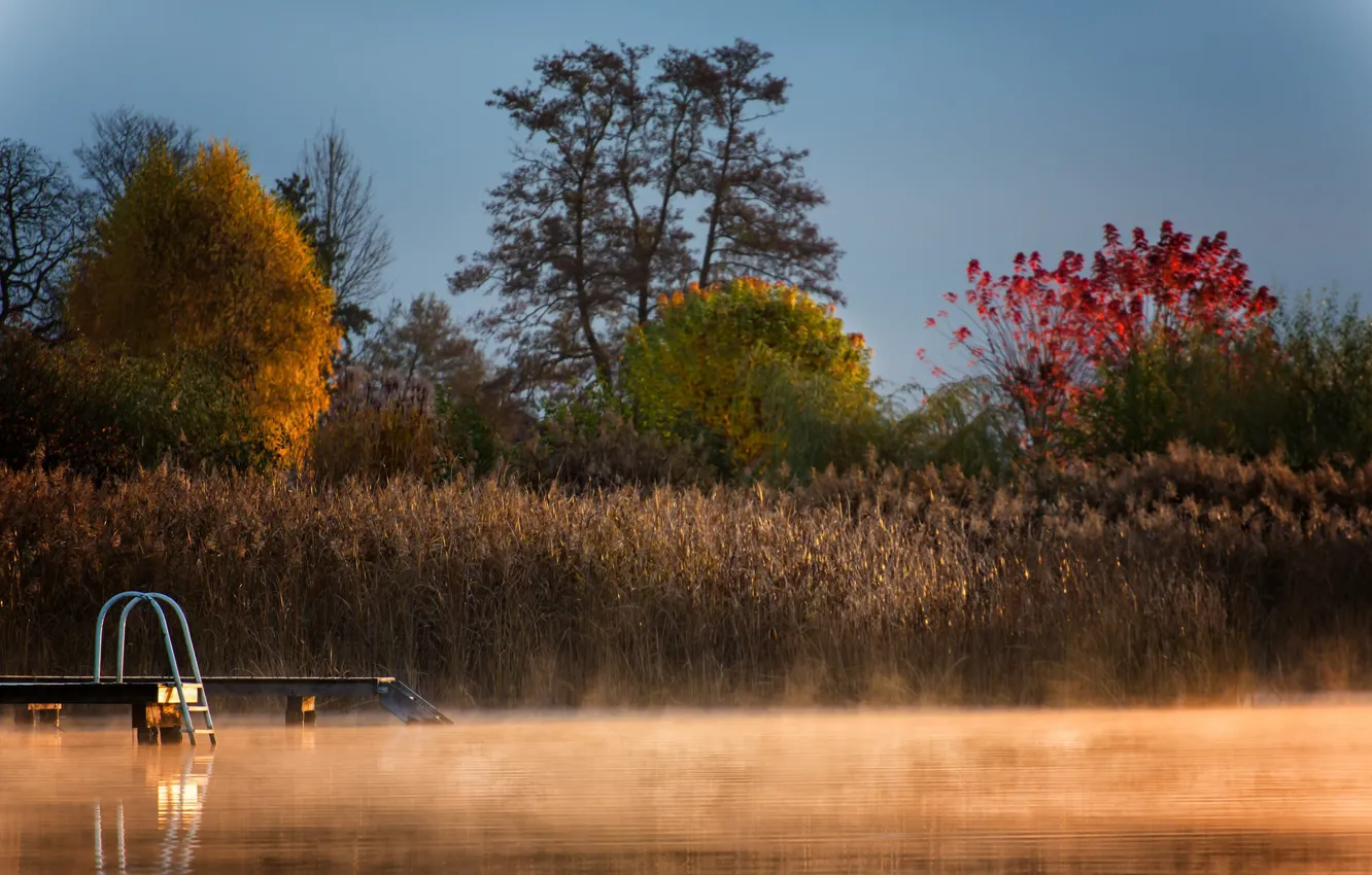 Photo wallpaper Dock, lake, morning, fog
