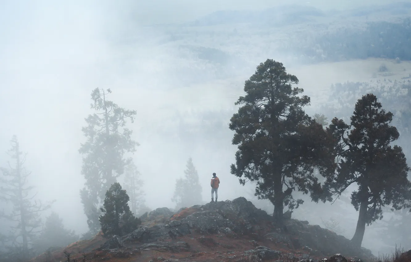Photo wallpaper trees, mountains, fog, stones, open, hills, people, view