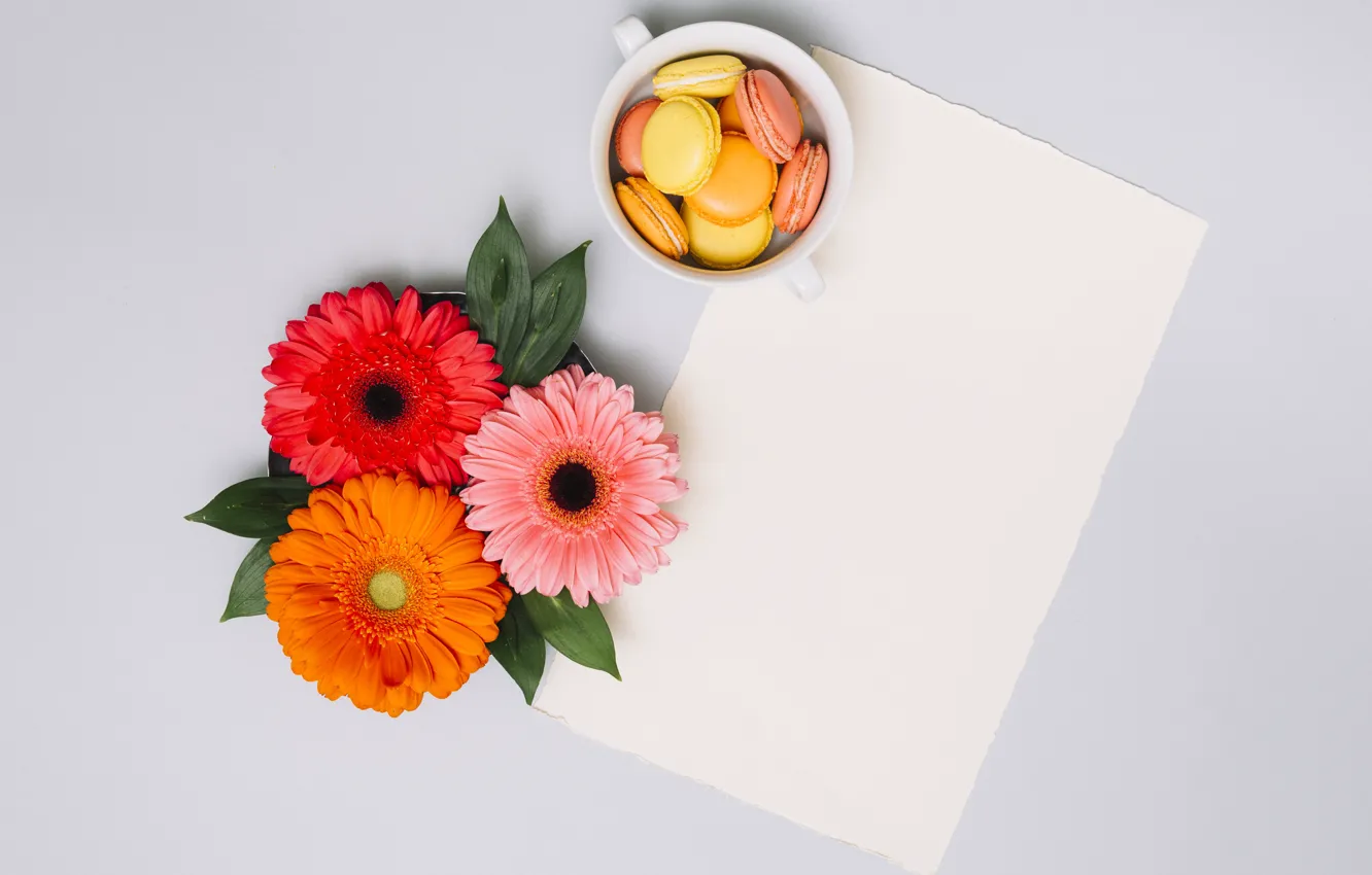 Photo wallpaper flowers, paper, background, cookies